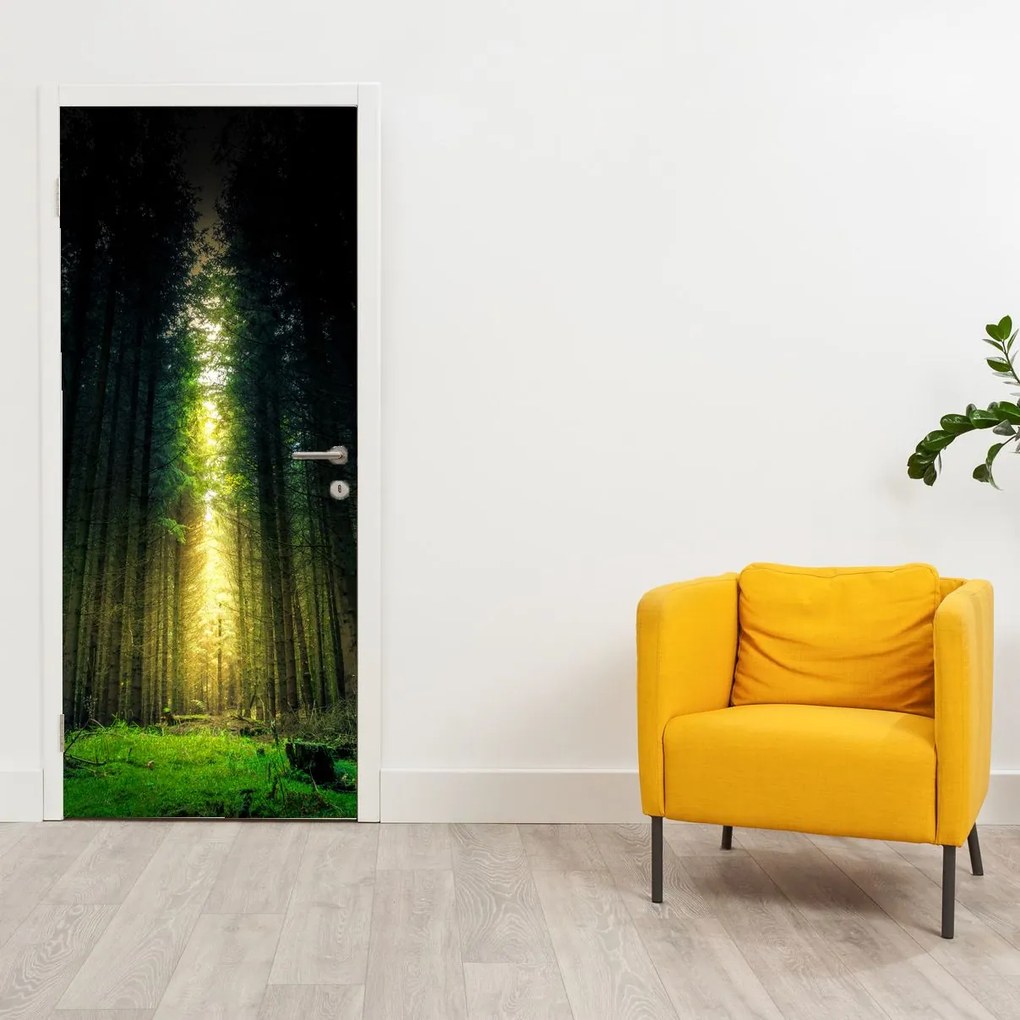 Fototapet pentru ușă - Pădurea Întunecată (95x205cm)