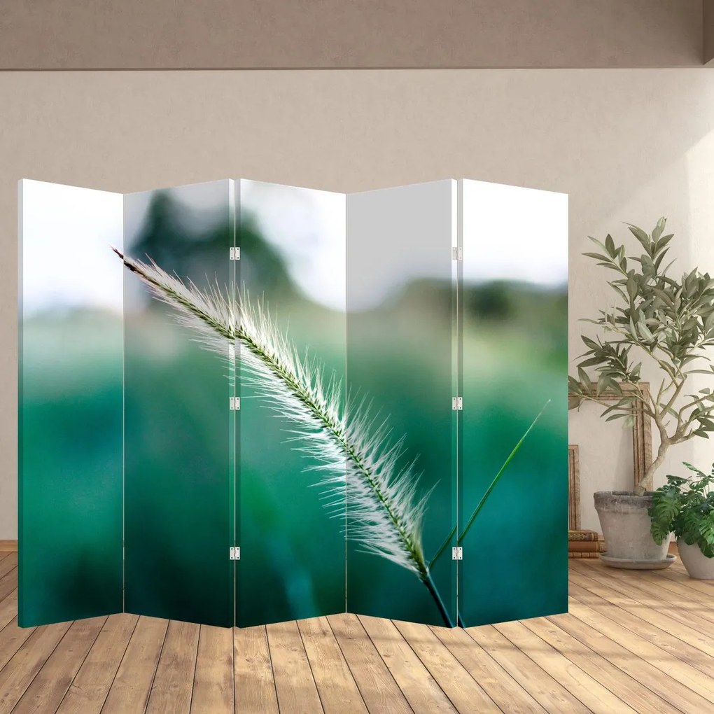Paravan - Fir de iarbă (210x170 cm)