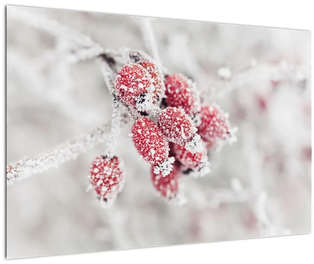 Tablou - Fructe congelate (90x60 cm)