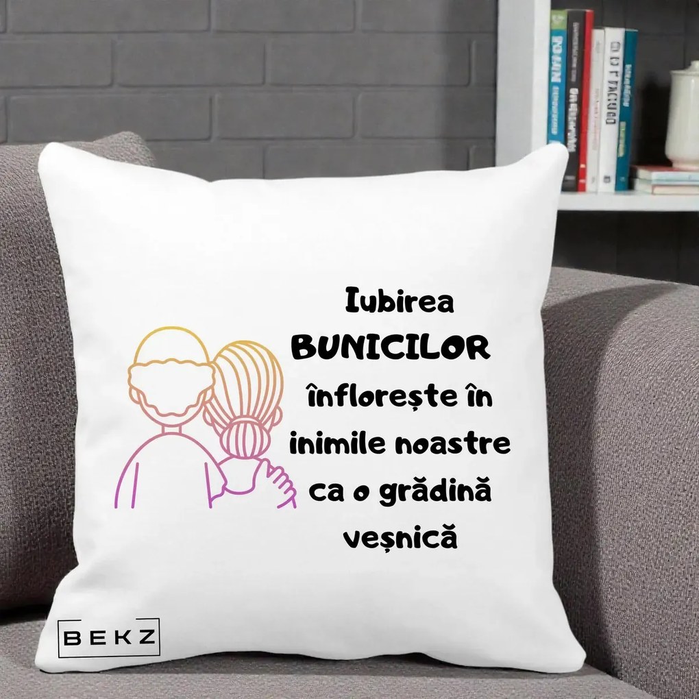 Cadou pentru Bunici - Perna Personalizata Iubirea Bunicilor Infloreste Cuplu Line Art Gradient, 40x40 cm, Alba Mata, Husa Detasabila, Perna Inclusa, BEKZ®