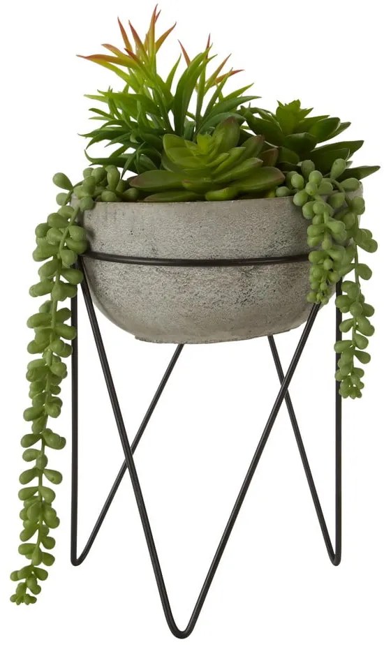 Suculentă artificială (înălțime 36 cm) Fiori – Premier Housewares