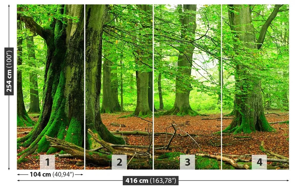 Fototapet pădure