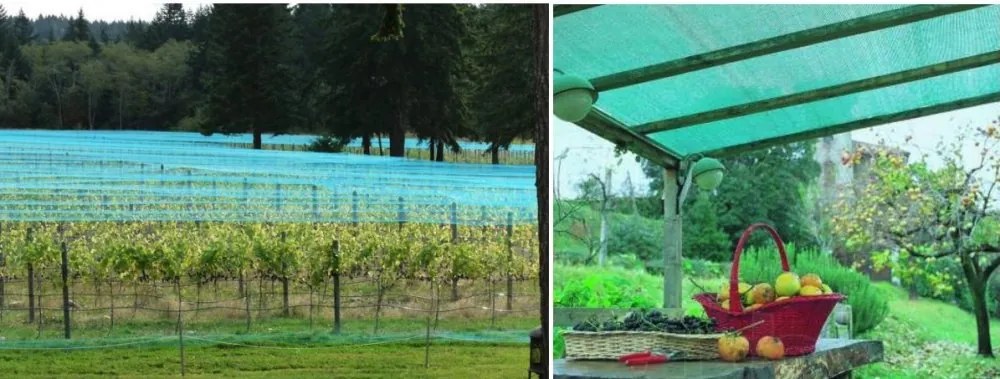 Plasă de umbrire cu 62% - 65g/m2 2m x 50m