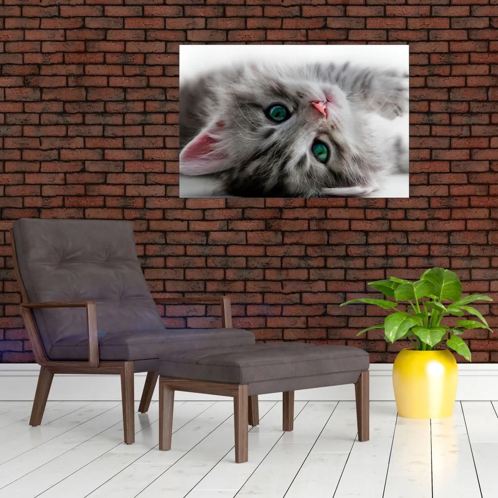Tablou - Pisica cu ochi verzi (90x60 cm)