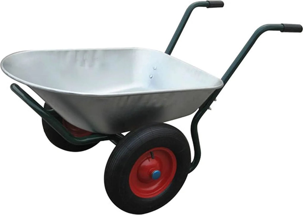 vidaXL Roabă Argintiu