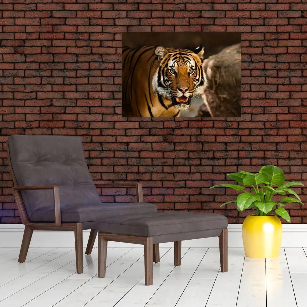 Tablou pe sticlă cu tigrul (70x50 cm)