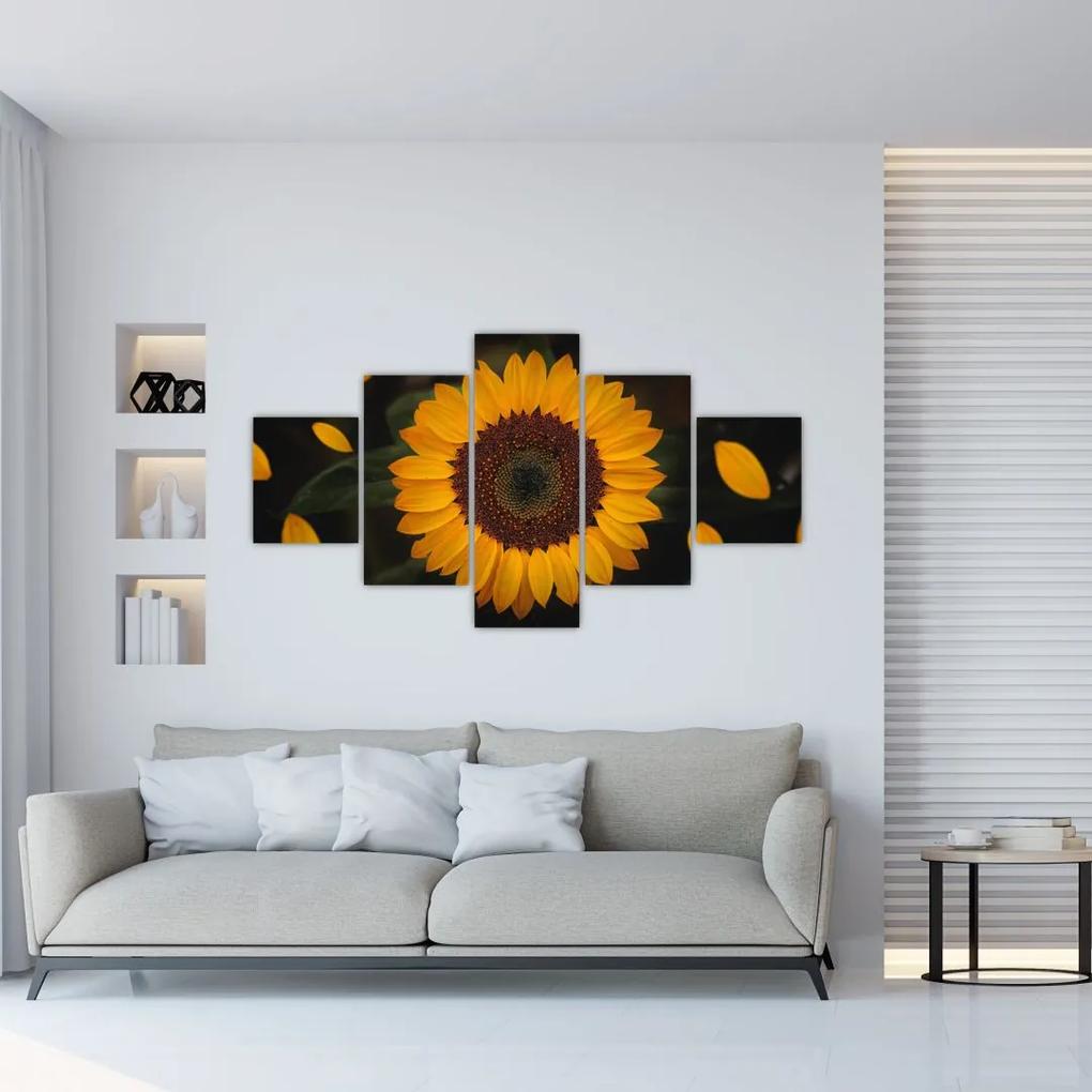 Tablou - Floarea soarelui și petale (125x70 cm), în 40 de alte dimensiuni noi