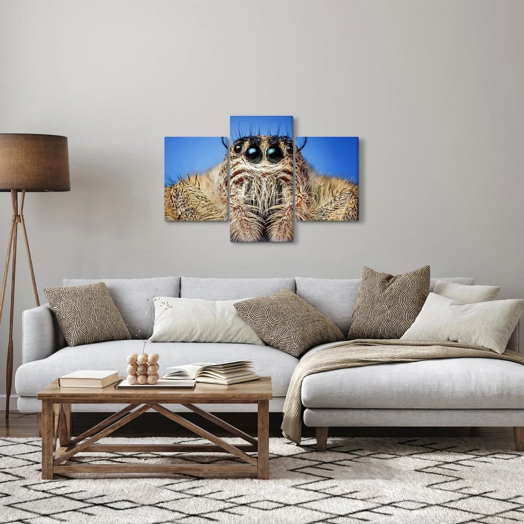 Tablou cu detalii a unui pâianjen (90x60 cm)