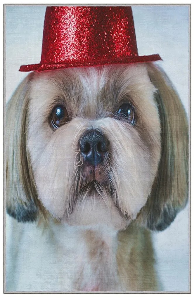 Covor, KHMFESTO008KEÇE, 100x150 cm, Multicolor