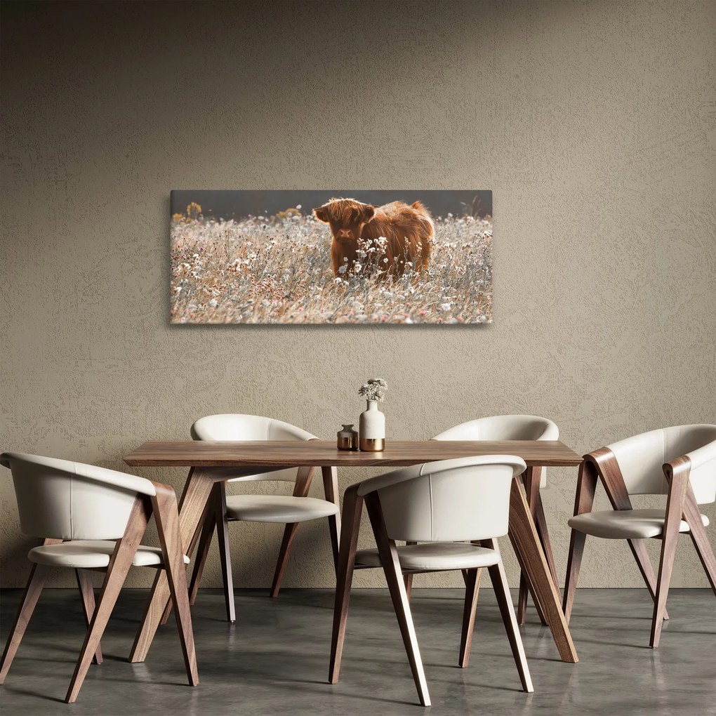 Tablou - Vacă scoțiană (120x50 cm)