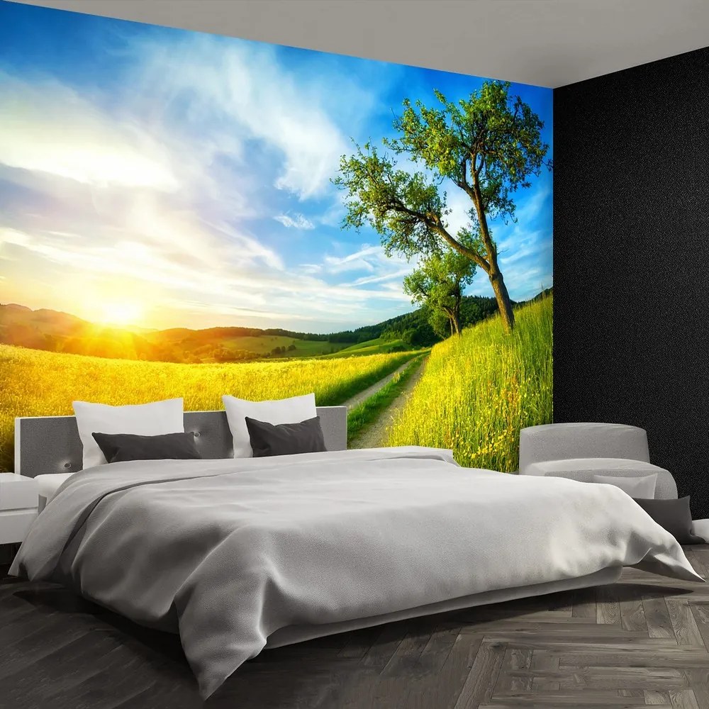 Fototapet Meadow copac