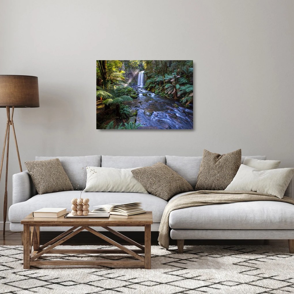 Tablou pe sticlă cu pădurea ploilor din Austalia (70x50 cm)