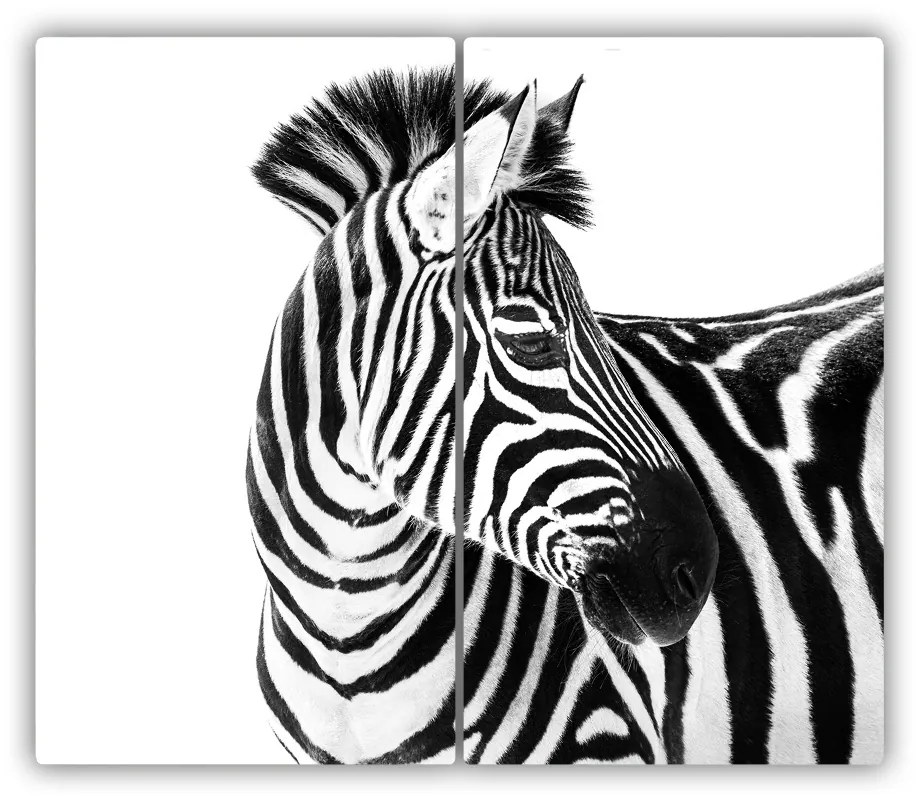 Tocator din sticla Zebra în zăpadă