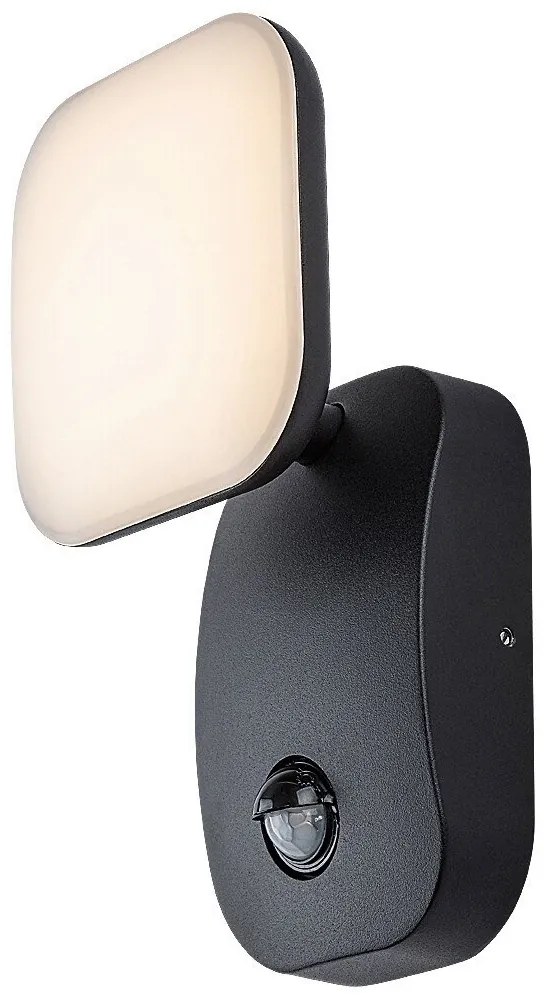 Aplica de perete exterior cu senzor de miscare IP44 LED Odiel