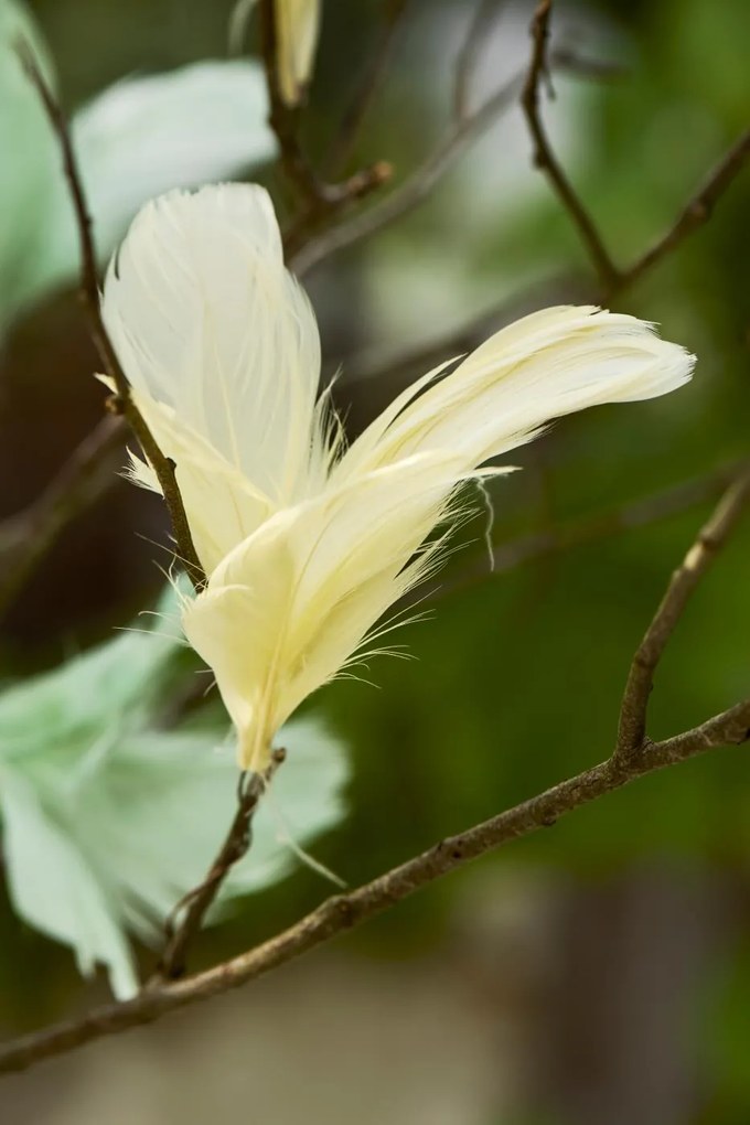 Pene suspendate pe sarma FEATHER DECOR - mai multe culori