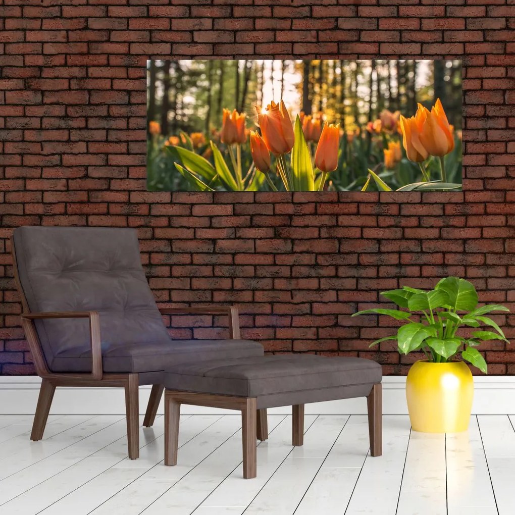 Tablou - florile lalelelor (120x50 cm)
