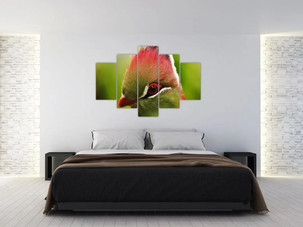 Tablou cu pasărea colorată (150x105 cm)