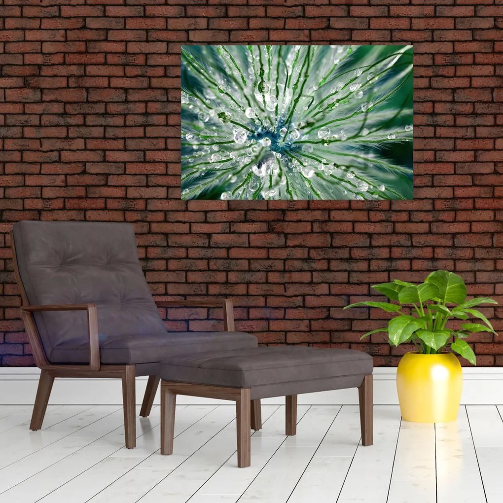 Tablou - Imagine macro a unei flori (90x60 cm)