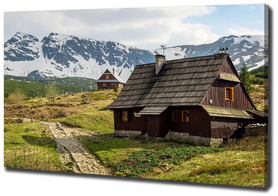 Tablou pe pânză Hale tatry