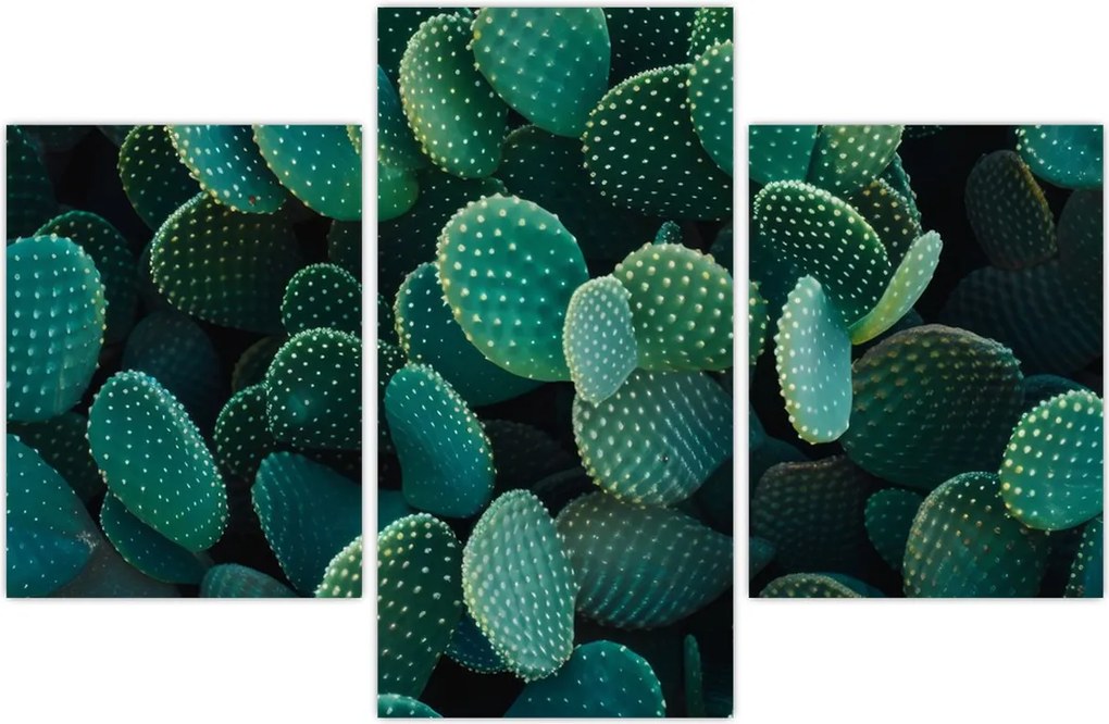 Tablou - Opuntia (90x60 cm)