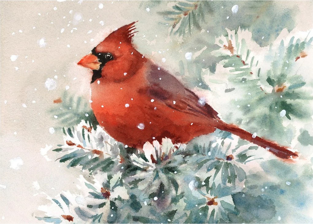 Tablou pe sticlă - Cardinal (70x50 cm)