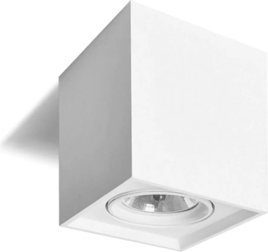 Spot QUANDO G53/50W/12V