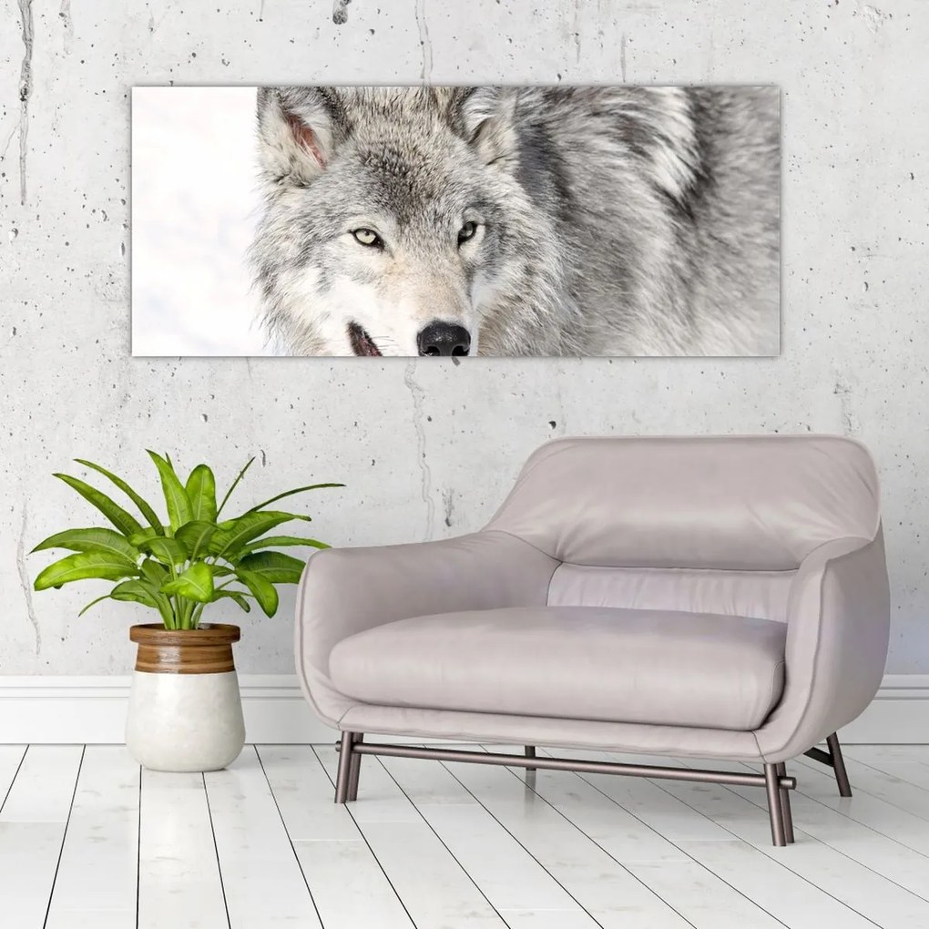 Tablou - Lupul în natură (120x50 cm)