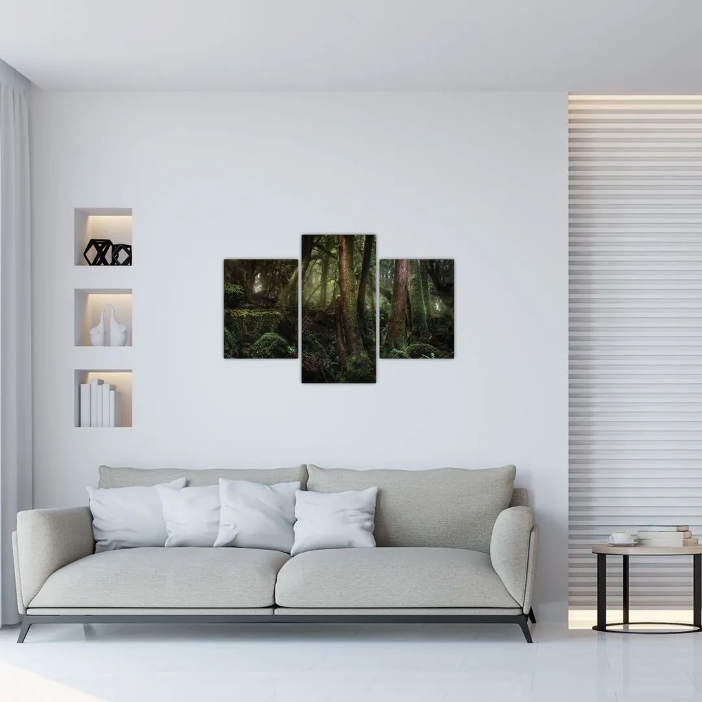 Tablou - Pădurea enigmatică (90x60 cm)