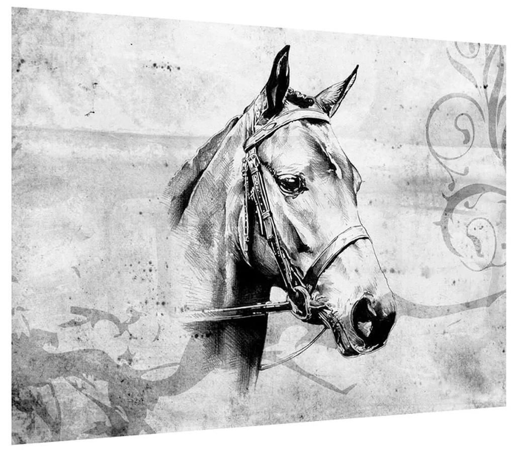 Tablou - porttret de cal (70x50 cm), în 40 de alte dimensiuni noi