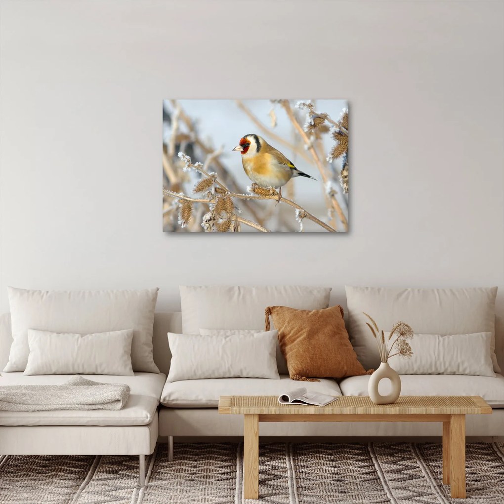 Tablou - Ciredeaua (70x50 cm)