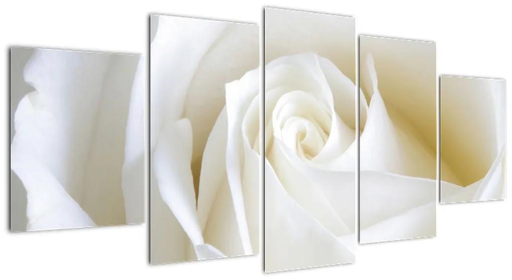 Tablou - trandafiri albi (150x70cm)