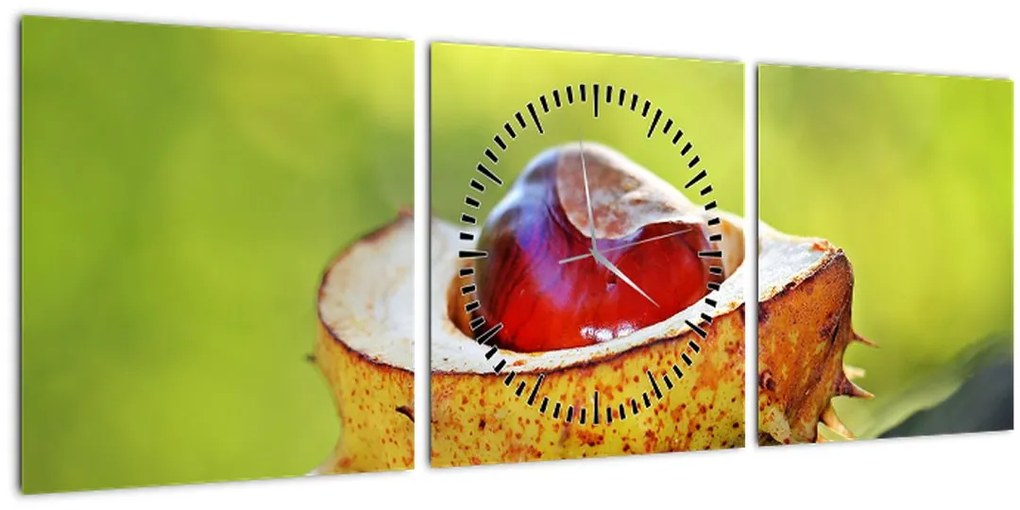 Tablou cu castani (cu ceas) (90x30 cm)