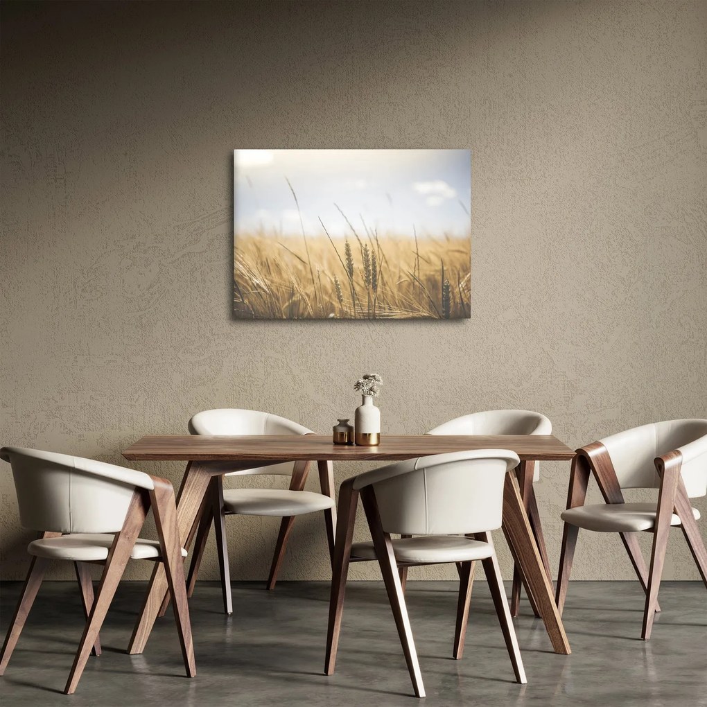 Tablou cu grâne (70x50 cm)