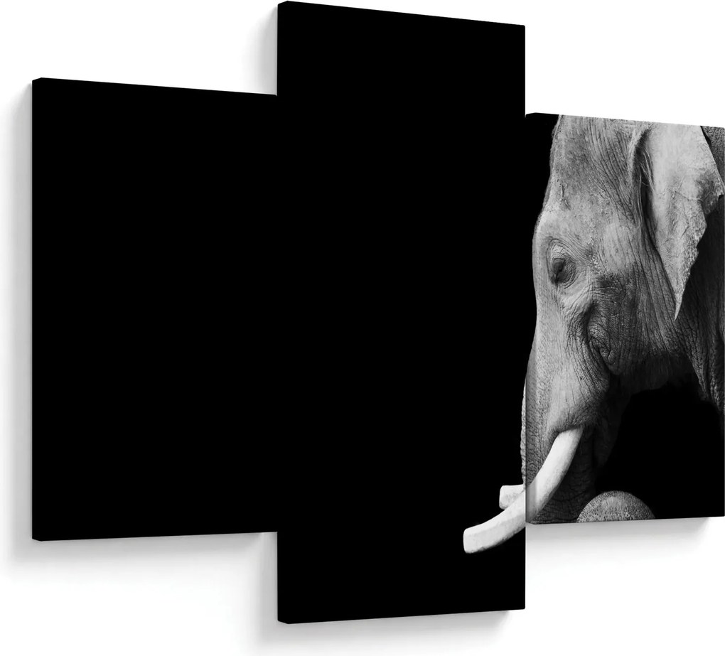 Tablou - Elefant (90x60 cm)