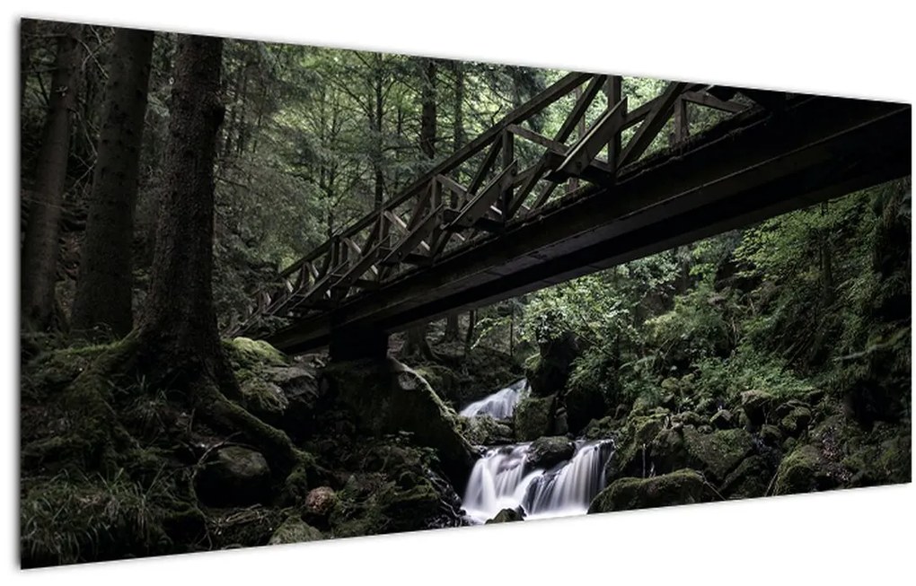 Tablou din pădurea neagră (120x50 cm)