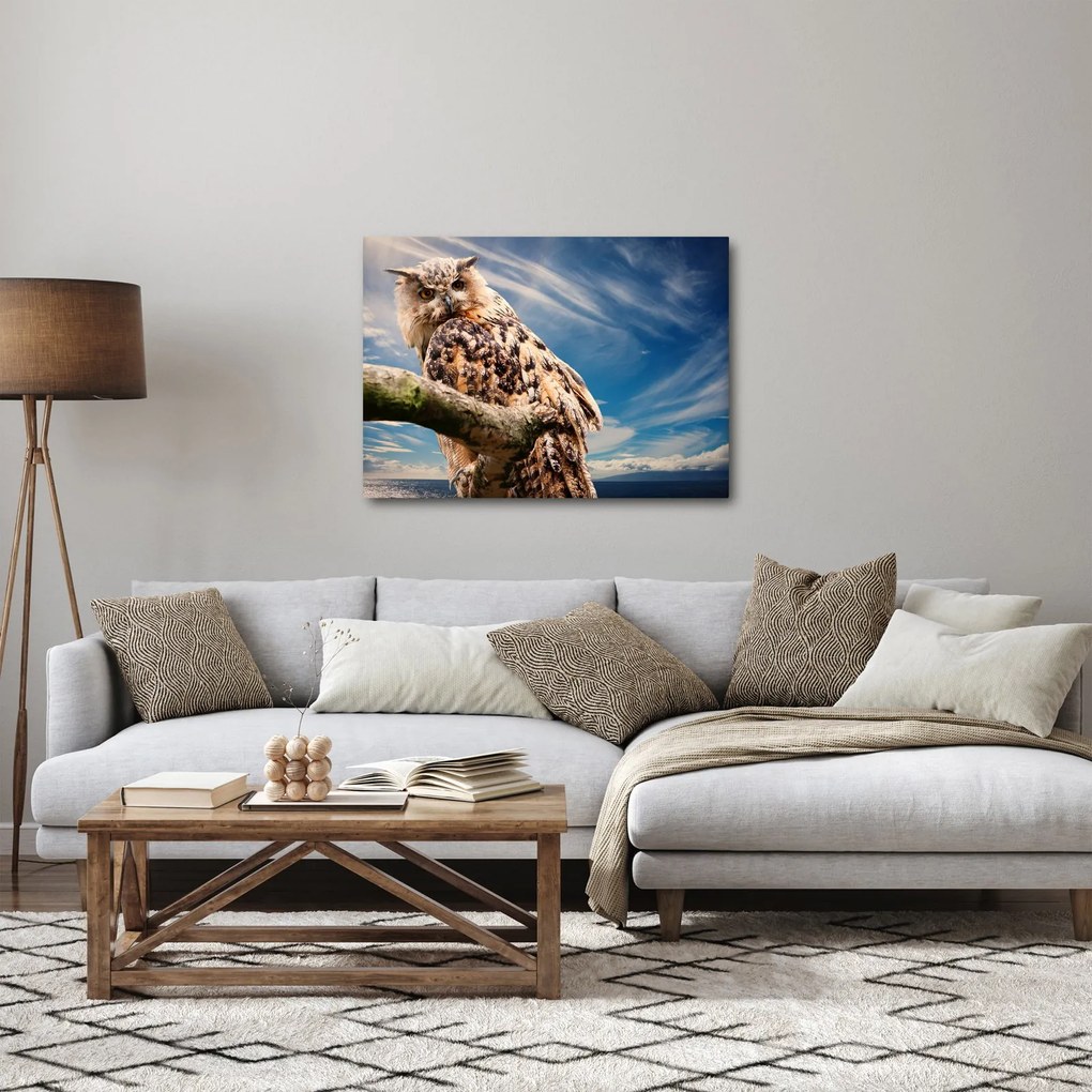 Tablou cu bufnița (70x50 cm)
