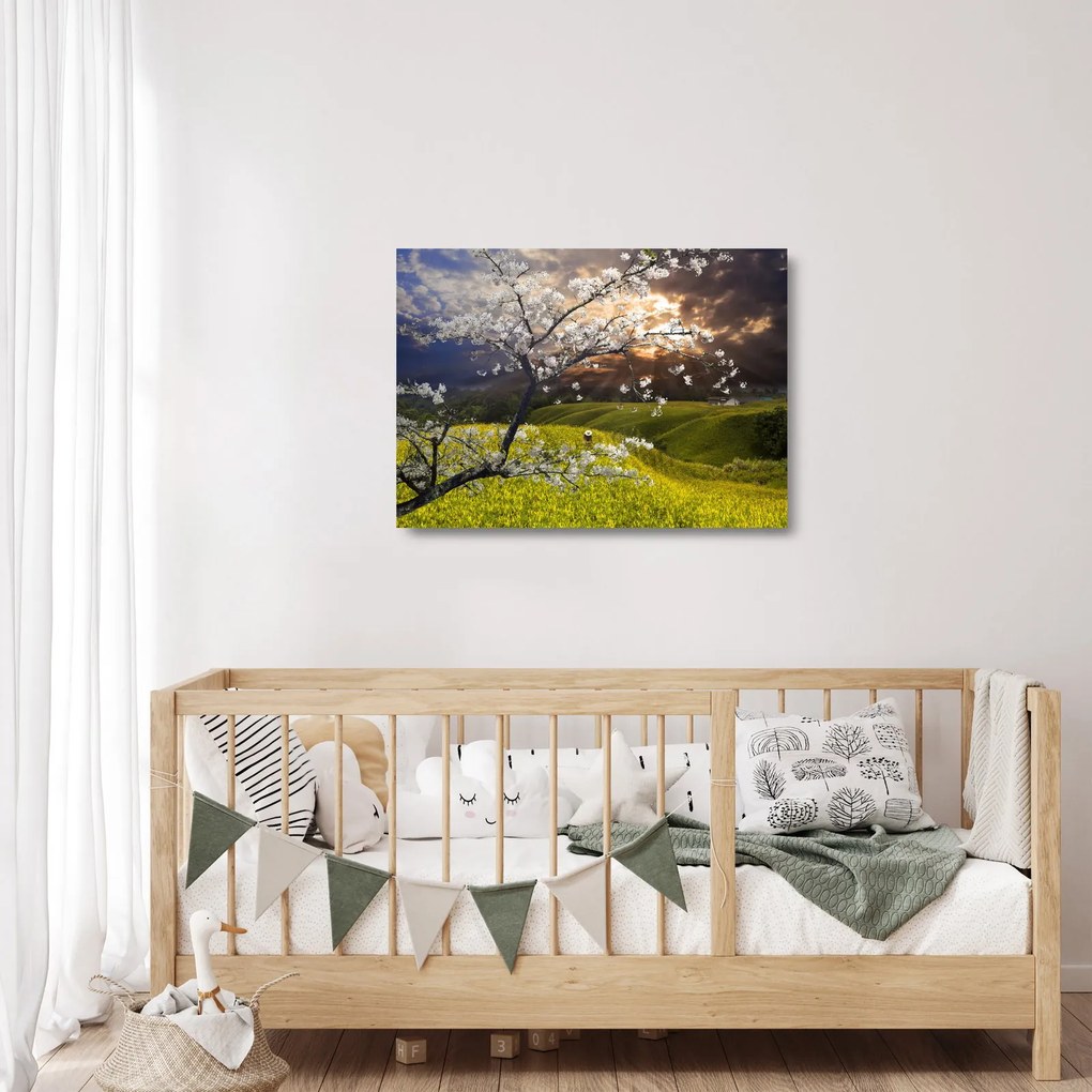 Tablou pe sticlă - Peisaj cu pomul înflorit (70x50 cm)