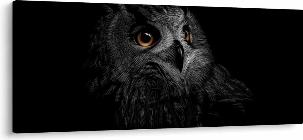 Tablou - Bufniță, ilustrație (120x50 cm)