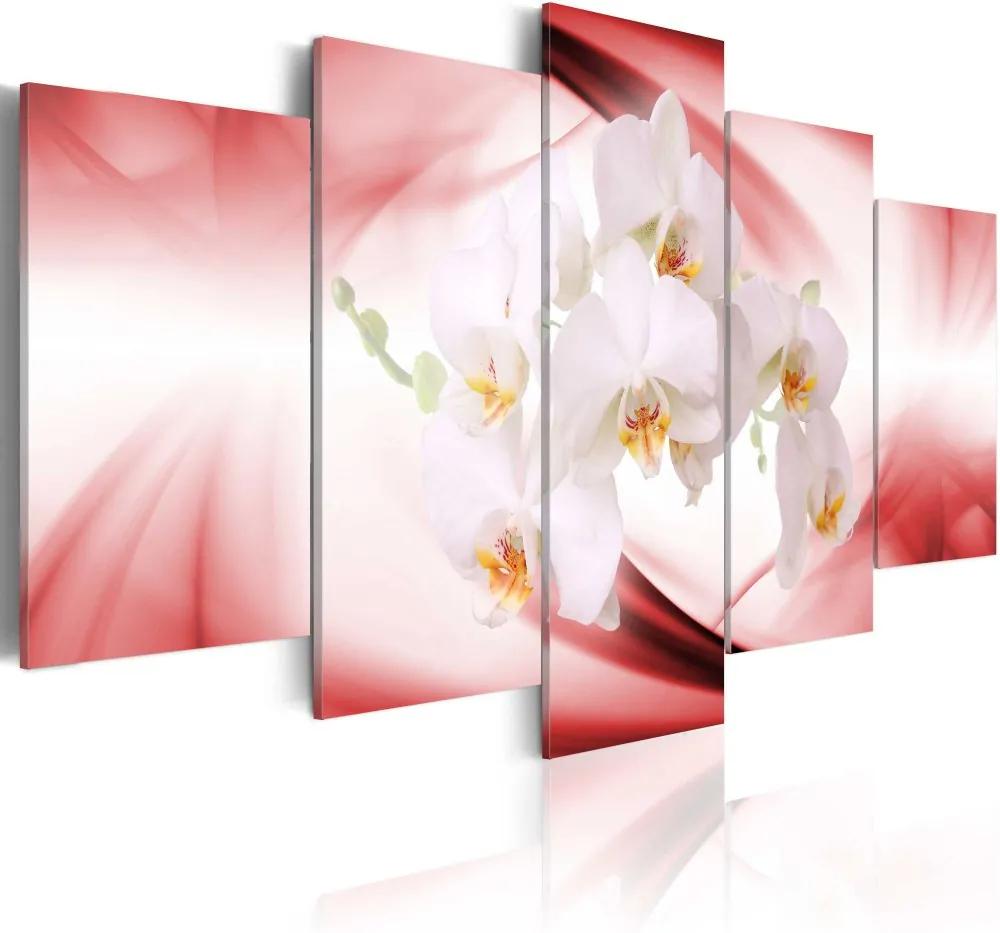 Tablou Bimago - Orchids - Red Shades 200x100 cm