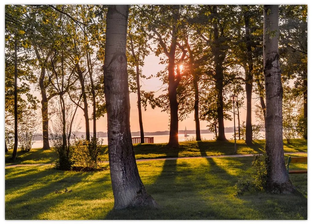 Tablou cu pomi lângă lac (70x50 cm)