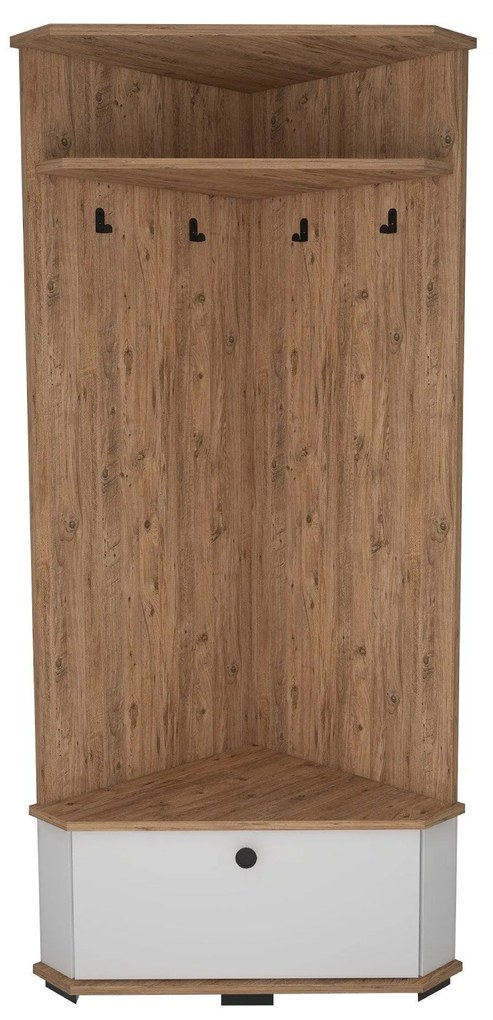 Pantofar Cuier Colt Aselna cu Usa si rafturi, 84 x 177 x 51 cm