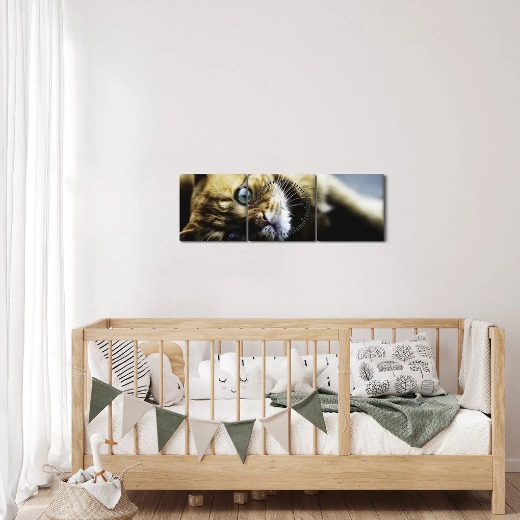 Tablou cu pisica (cu ceas) (90x30 cm)