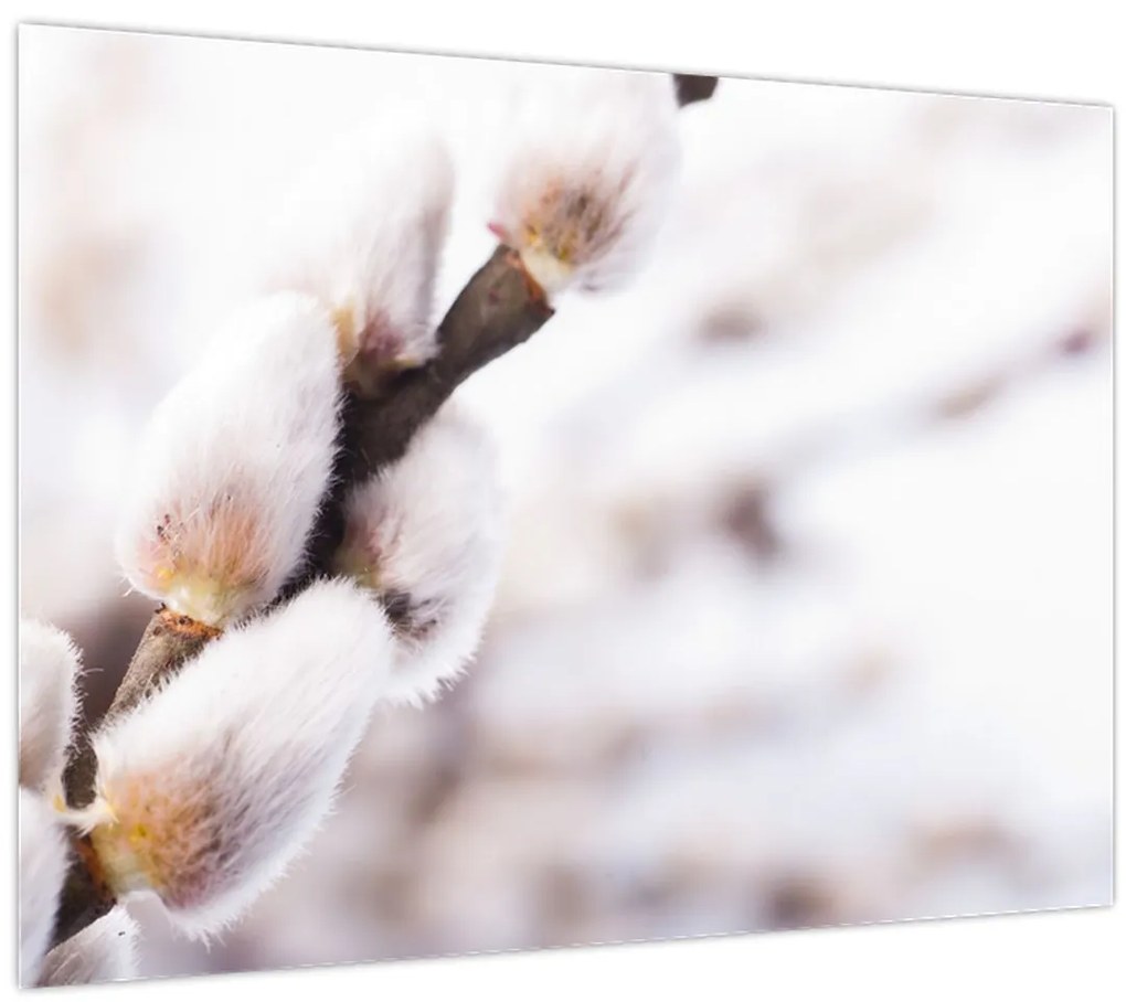 Tablou - Ramură (70x50 cm)