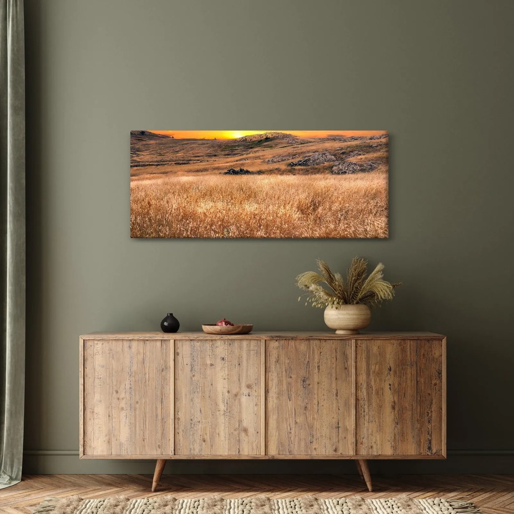 Tablou cu câmp (120x50 cm)