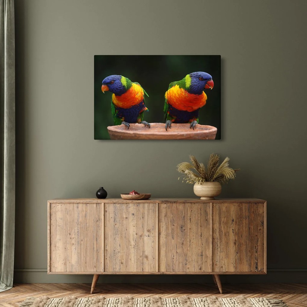Tablou cu papagali (90x60 cm)