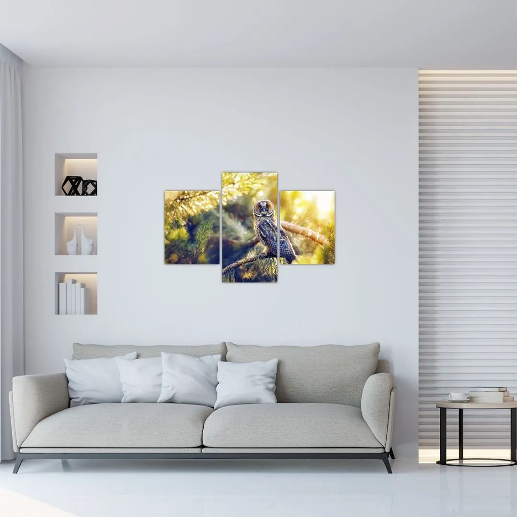 Tablou - Bufniță în copac (90x60 cm)