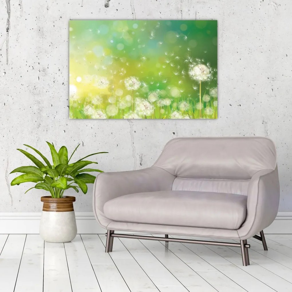 Tablou - Păpădie înflorită (90x60 cm)