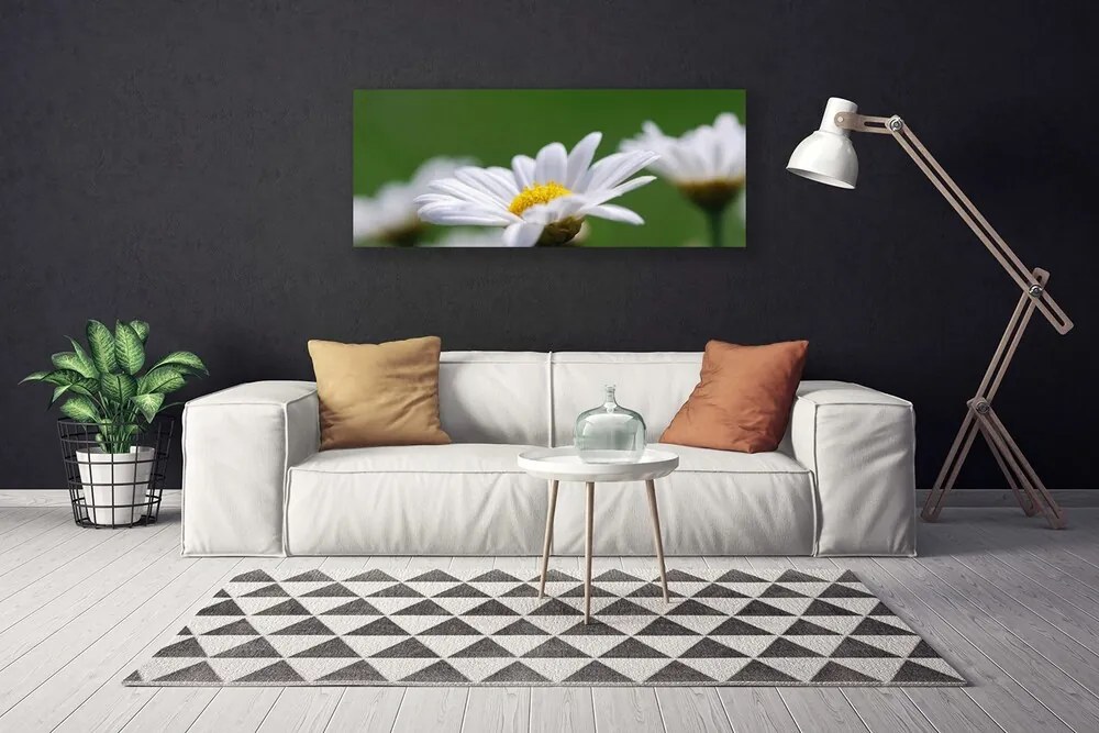 Tablou pe panza canvas Daisy Floral Alb Galben Verde