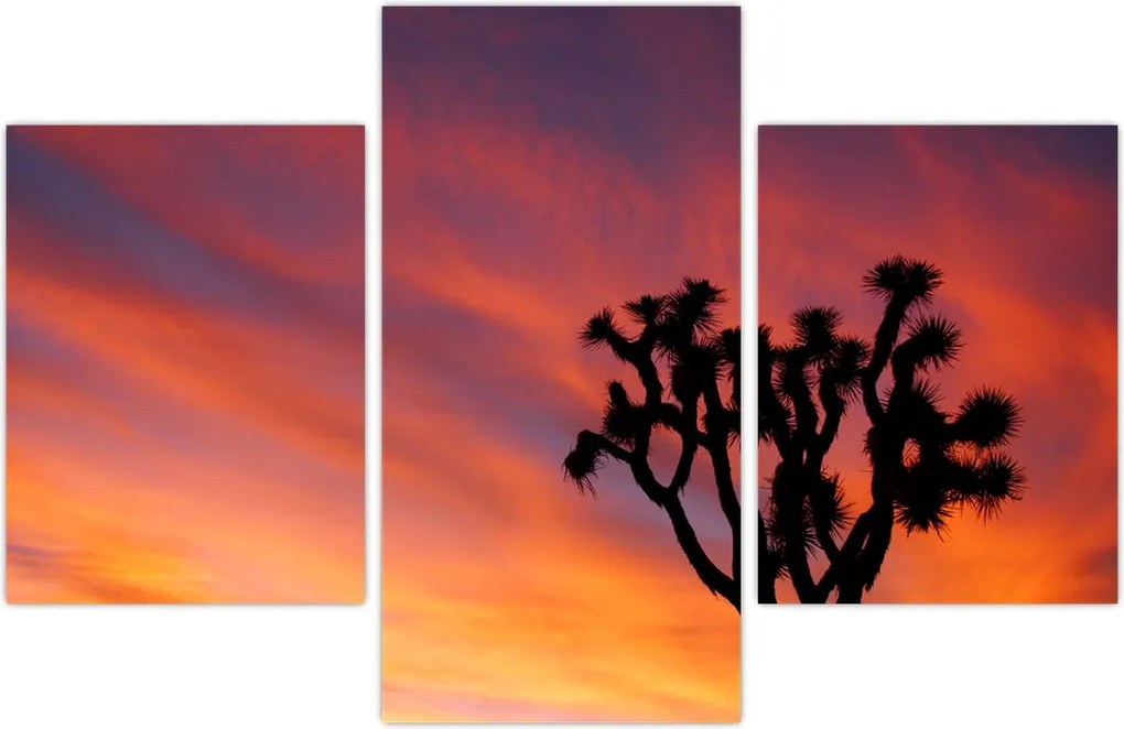 Tablou apus de soare deasupra siluetei unui copac (90x60 cm)