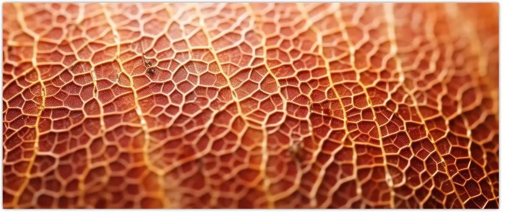 Tablou - Detaliu de textură (120x50 cm)